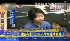 避难在线观看,揭秘末日生存秘籍，在线观看带你领略生死较量